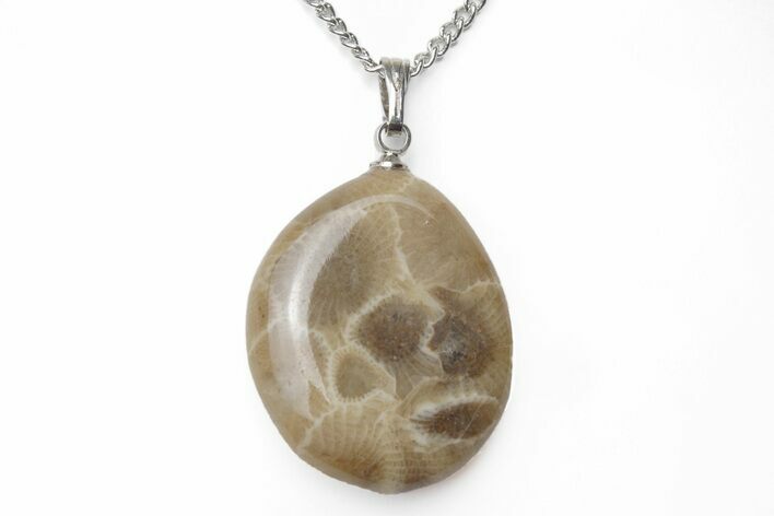 Polished Petoskey Stone (Fossil Coral) Necklaces - Michigan - Photo 1